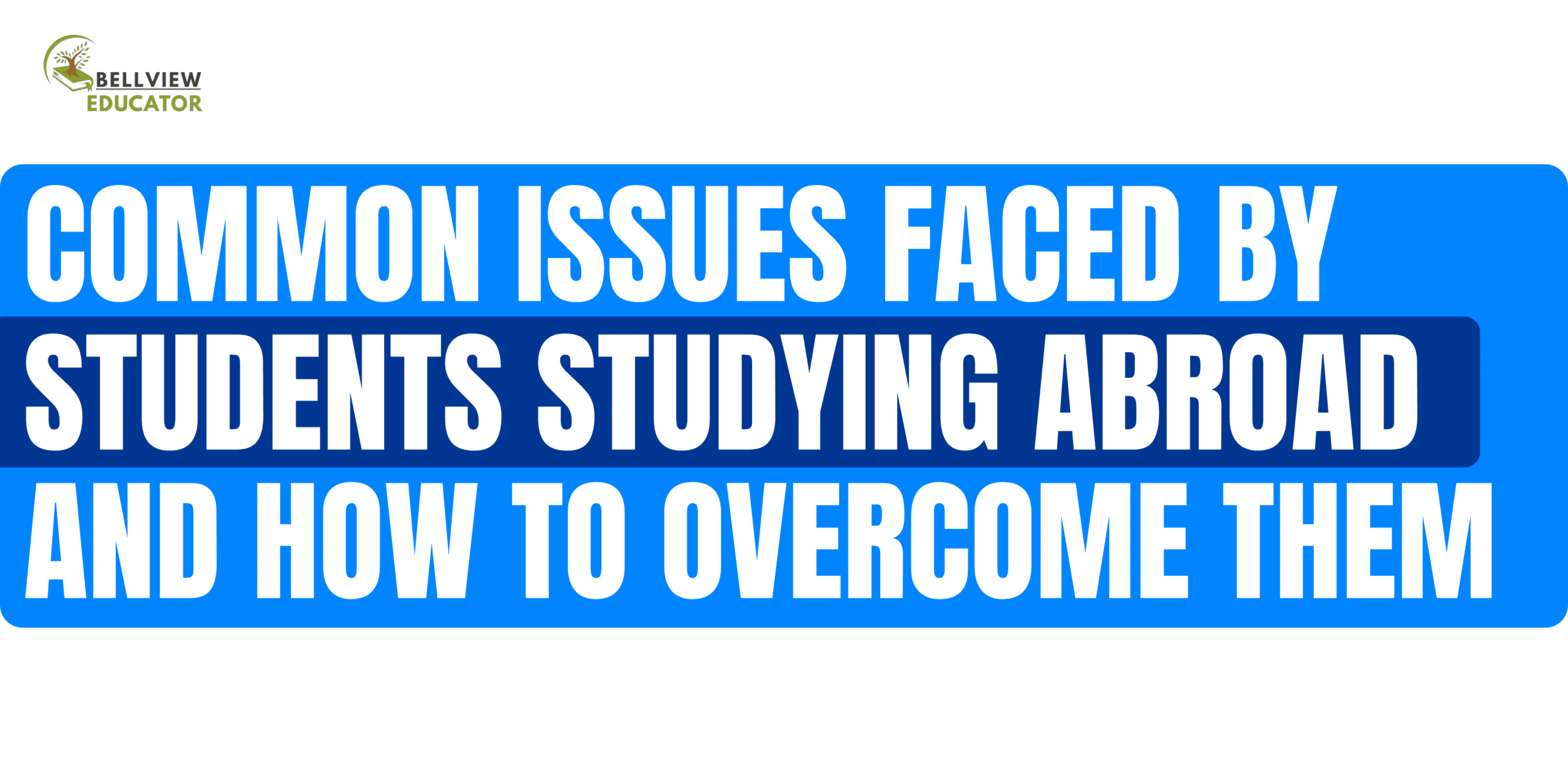 Common Issues Faced by Students Studying Abroad And How to Overcome Them